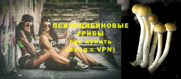мяу мяу мука Алексеевка